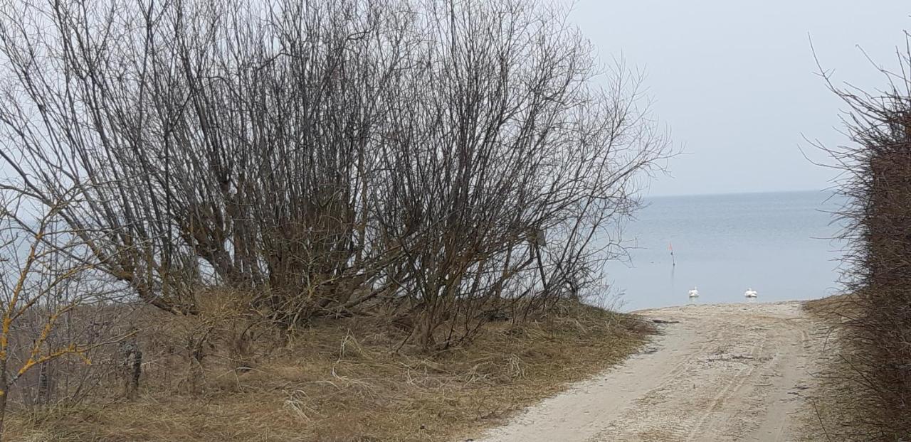 Vila Лора Lapmežciems Exteriér fotografie
